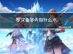 罗汉鱼冬天放什么水