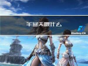羊冬天喂什么