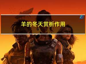 羊的冬天赏析作用