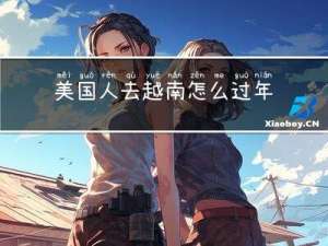 美国人去越南怎么过年的