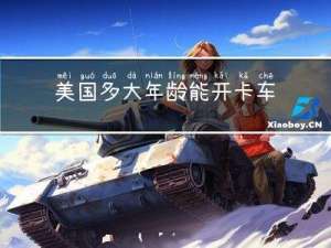 美国多大年龄能开卡车司机