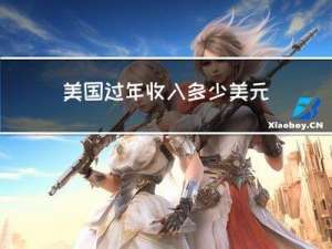 美国过年收入多少美元
