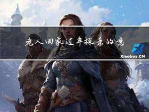 老人回家过年探亲的意义