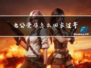 老公受伤怎么回家过年