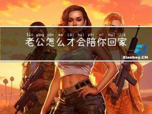 老公怎么才会陪你回家过年
