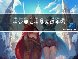 老公要去老婆家过年吗