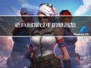 老兵回家过年的感言怎么写