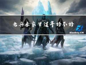 老兵来家里过年好不好