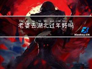 老婆去湖北过年好吗