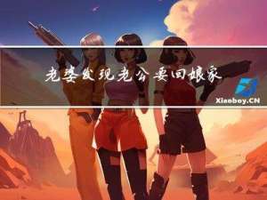 老婆发现老公要回娘家过年