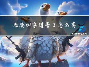 老婆回家过年了怎么离婚