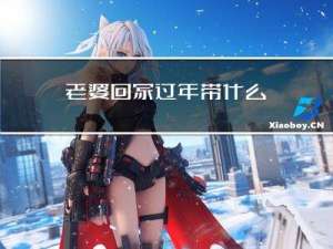 老婆回家过年带什么