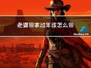 老婆回家过年该怎么回答