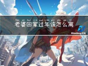 老婆回家过年该怎么离婚