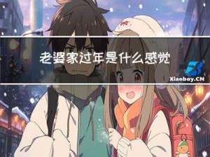 老婆家过年是什么感觉呀