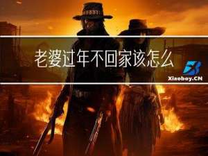 老婆过年不回家该怎么离婚