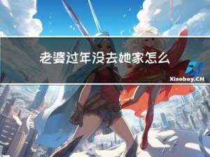 老婆过年没去她家怎么办