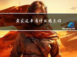 老家过年有什么特点作文