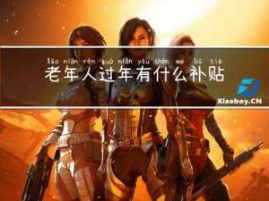 老年人过年有什么补贴