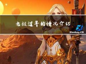 老挝过年的情况介绍