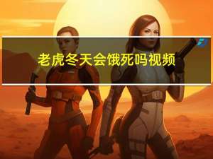 老虎冬天会饿死吗视频