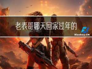 老表哥哪天回家过年的英文