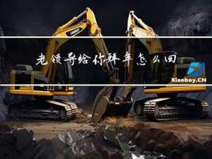 老领导给你拜年怎么回答