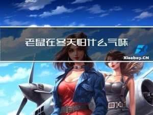 老鼠在冬天怕什么气味