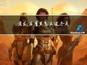 老鼠在屋里怎么过冬天