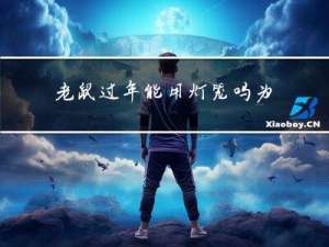 老鼠过年能用灯笼吗为什么