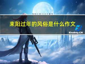 耒阳过年的风俗是什么作文
