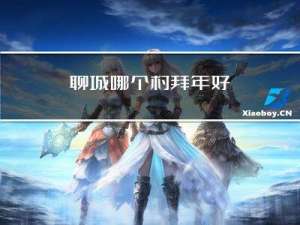 聊城哪个村拜年好