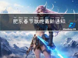 肥东春节放炮最新通知电话