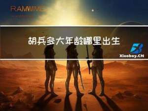 胡兵多大年龄哪里出生