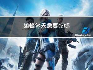 胡蜂冬天需要吃吗
