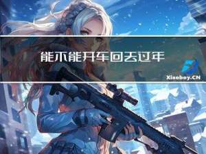能不能开车回去过年