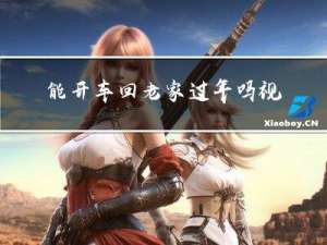 能开车回老家过年吗视频