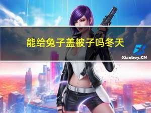能给兔子盖被子吗冬天