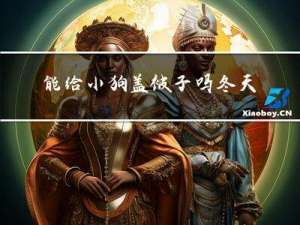 能给小狗盖被子吗冬天