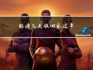 能请几天假回家过年