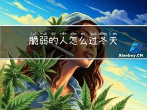 脆弱的人怎么过冬天