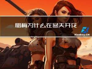 腊梅为什么在冬天开花