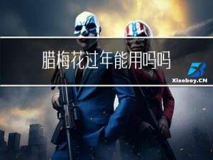 腊梅花过年能用吗吗