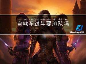 自助车过年要排队吗