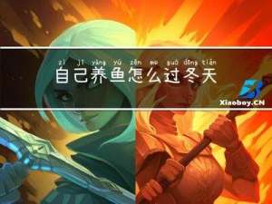 自己养鱼怎么过冬天