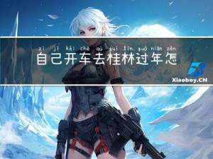 自己开车去桂林过年怎么样
