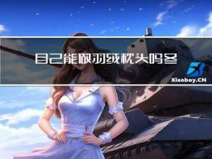 自己能做羽绒枕头吗冬天