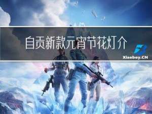 自贡新款元宵节花灯介绍