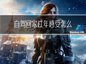 自驾回家过年感受怎么写