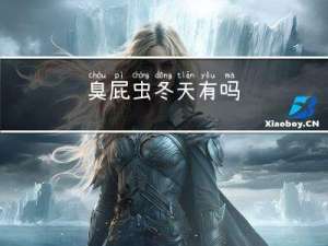 臭屁虫冬天有吗